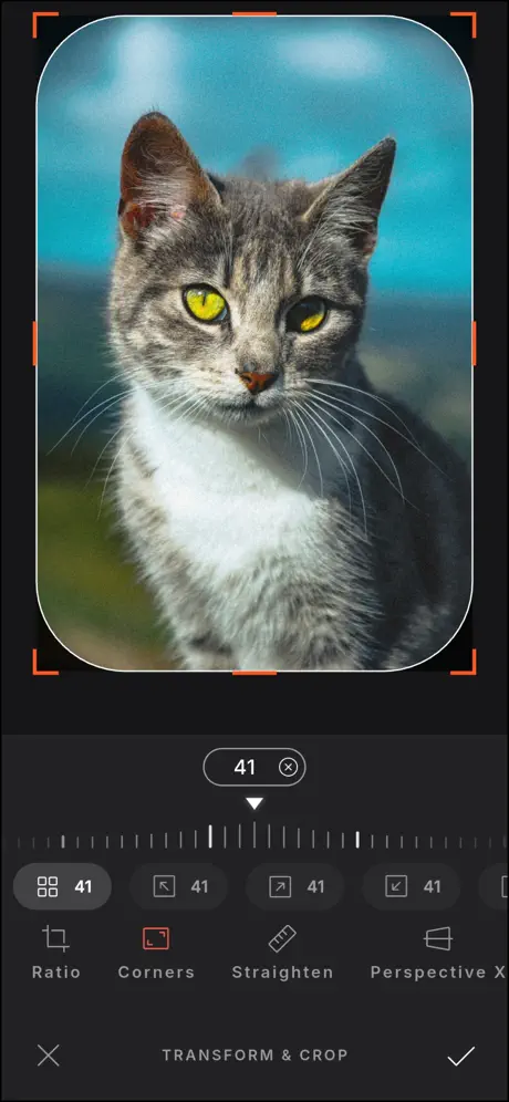 Modipix: 3D LUT Photo Editor 照片调色工具应用截图