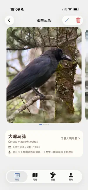 Birder Diary screenshot 4