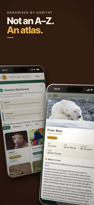 All the Animals screenshot 2