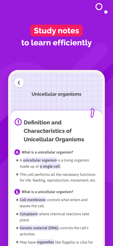 SchoolMouv - AI Tutor & Quiz screenshot 5