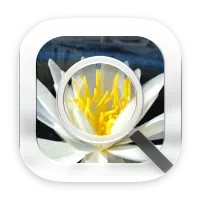 ‎Fish Image Viewer