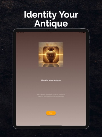 Antiq AI Identify & Appraise iPad screenshot