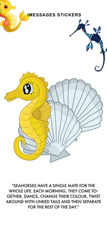 Sea Horse Lovely app screenshot