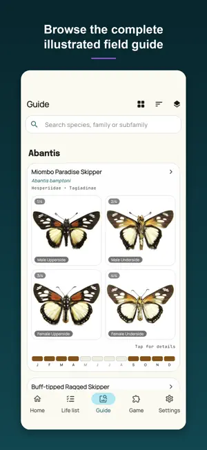 Butterflies of Zimbabwe screenshot 2