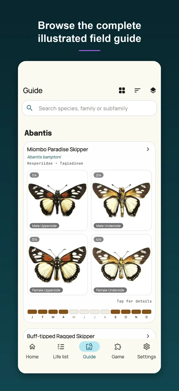 Screenshot #2 pour Butterflies of Zimbabwe
