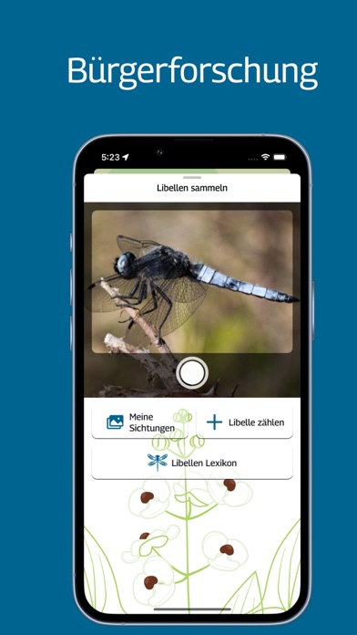 LassWissen Screenshot