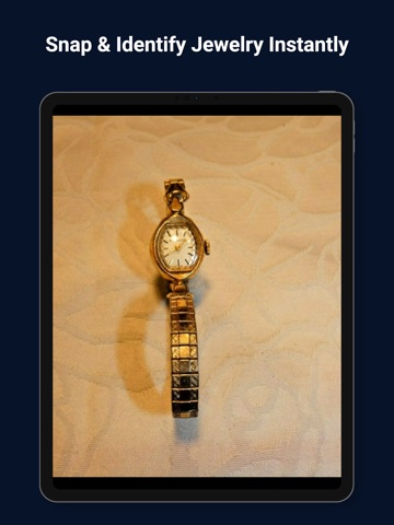 Jewelry Identifier: JewelLens iPad screenshot