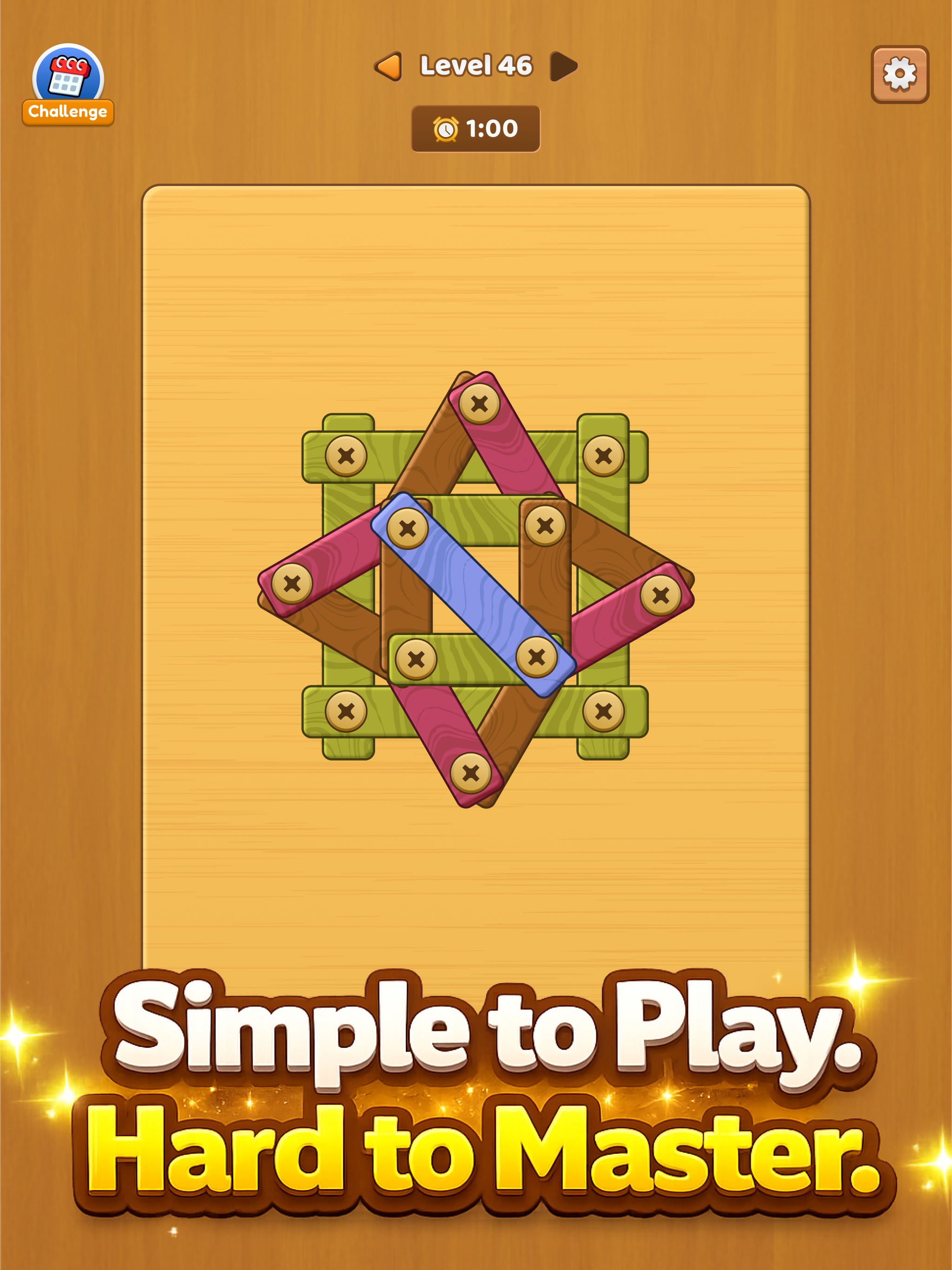 Nuts and Bolts: Screw Puzzles screenshot 9