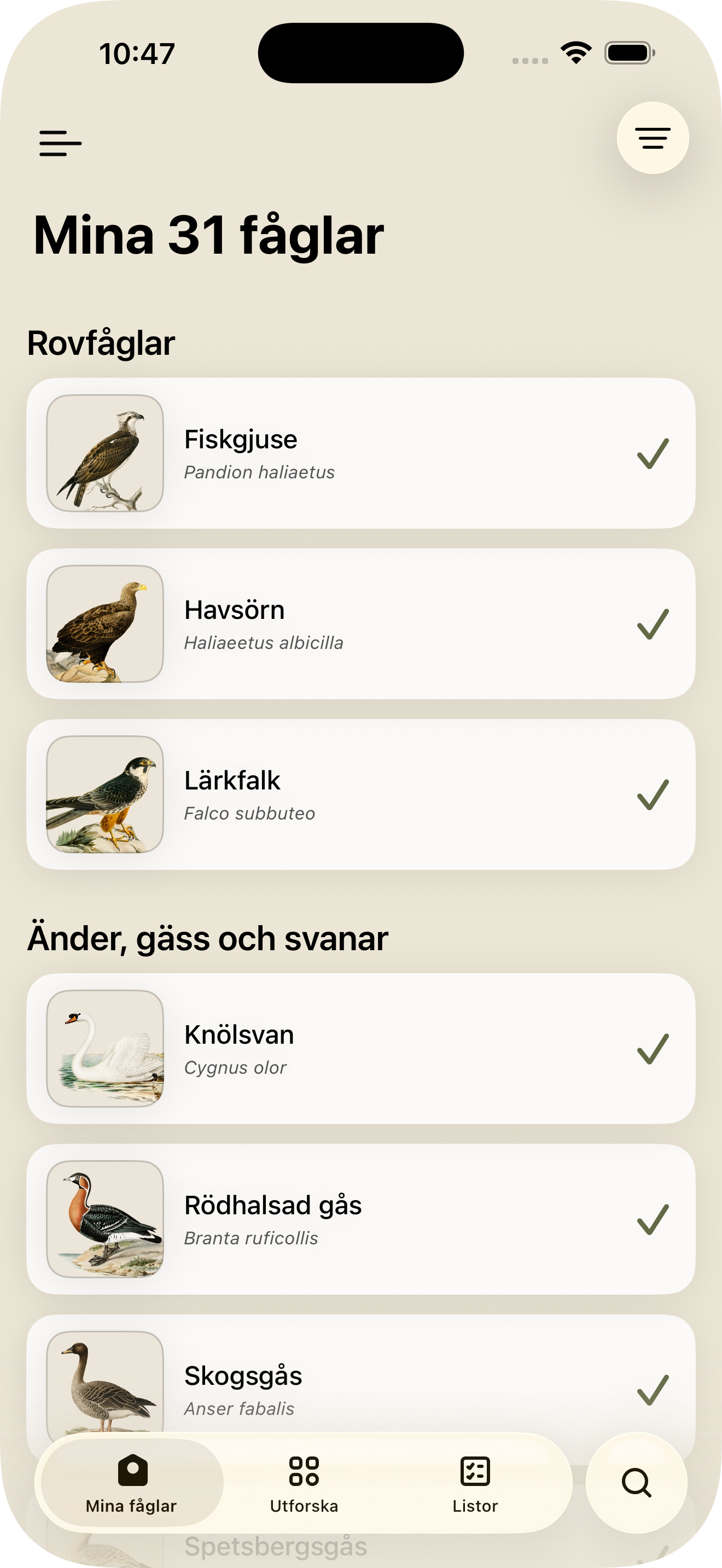Mina fåglar