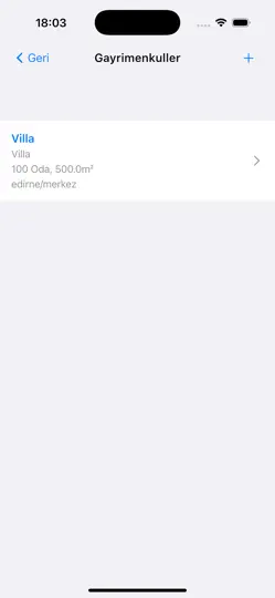 Basit Kira Takip iPhone Ekran Görüntüsü 4