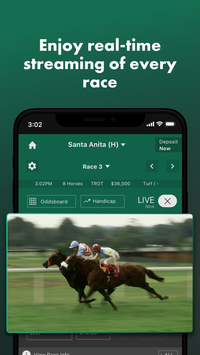bet365 Racing Screenshot