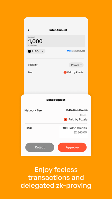 Puzzle - Aleo Wallet Screenshot