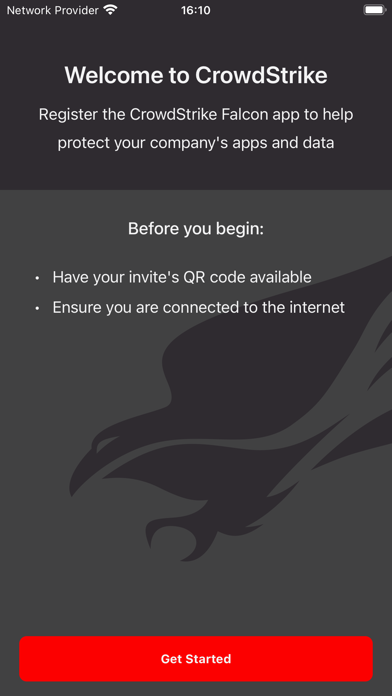 CrowdStrike Falcon screenshot 1