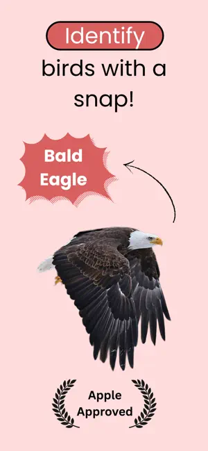 Bird Identification App screenshot 1