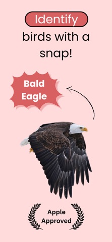 Bird Identifier: Scanner App screenshot