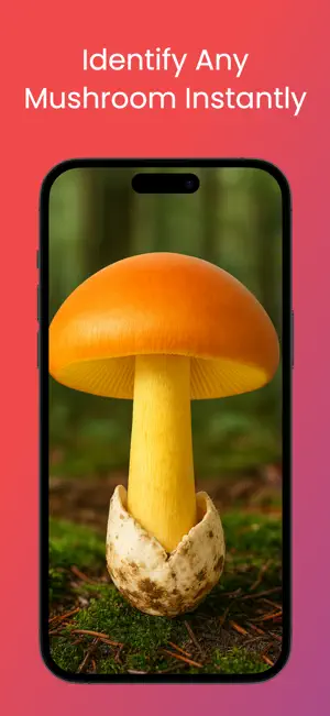 Mushroom ID : Myco Forager screenshot 1