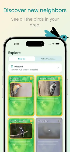 birdr: Bird Identifier AI screenshot 3