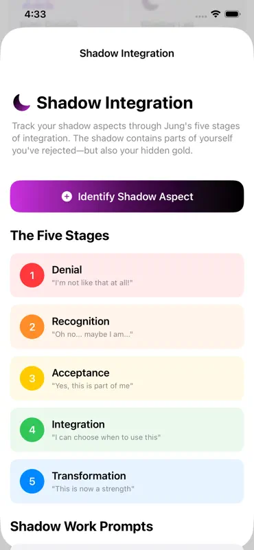 Archetype Jung Tool screenshot 8 of 10