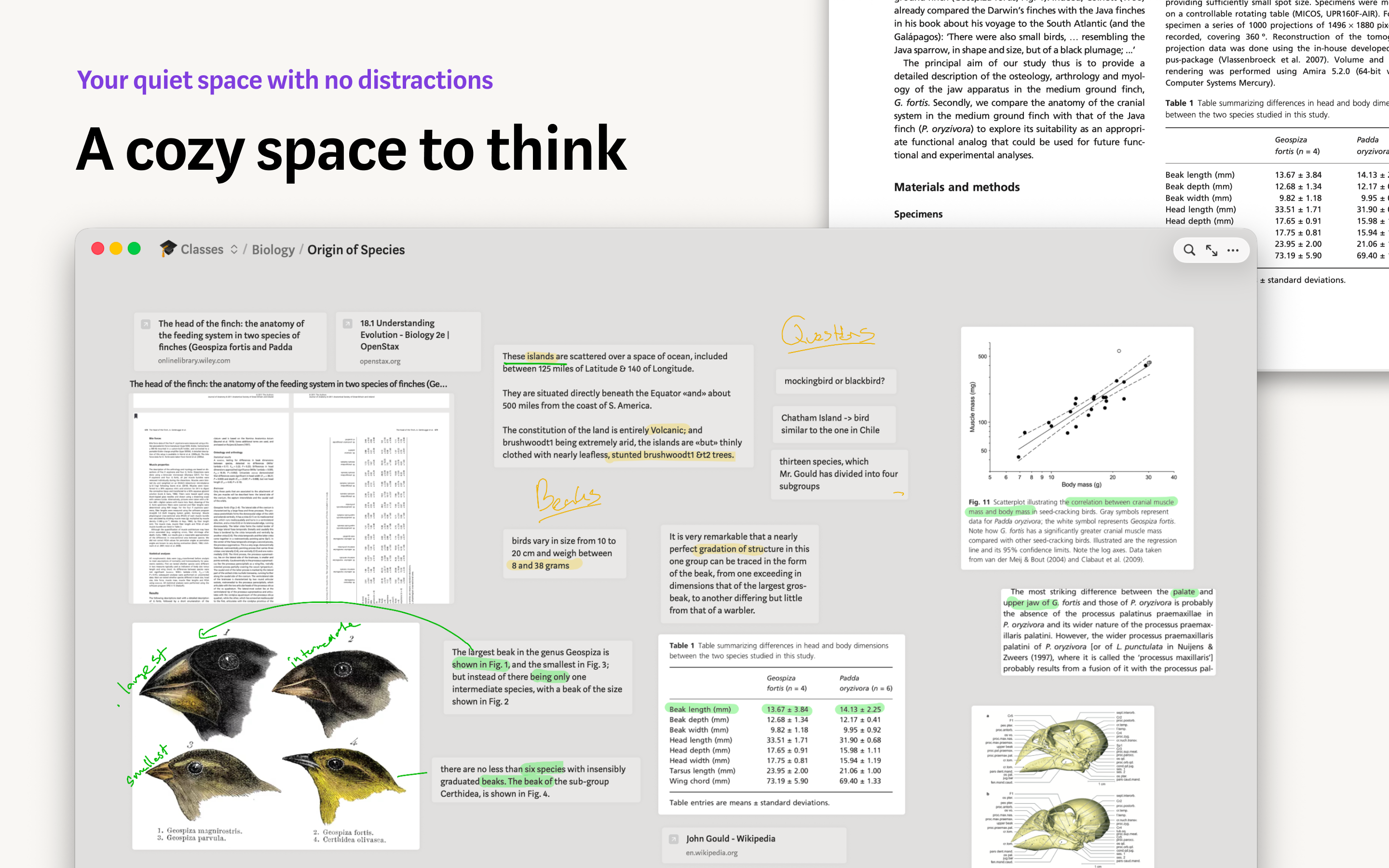 Allume — for focused thinking
