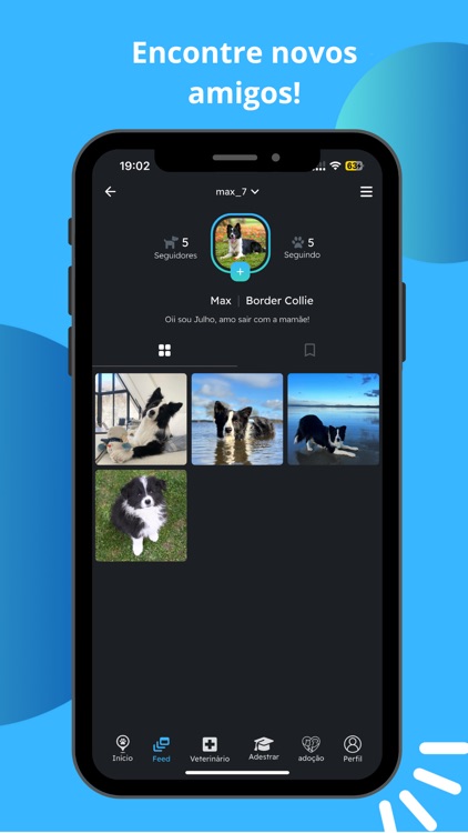 Pet Ping screenshot-4