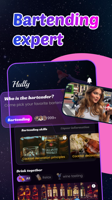 Hully-Bartender Guide Screenshot