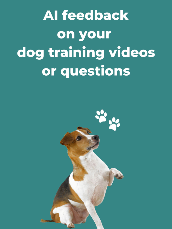 Barko AI Dog  Puppy Training