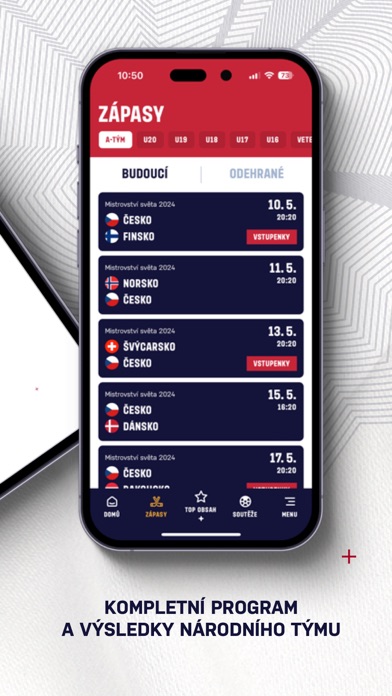 Český hokej Screenshot