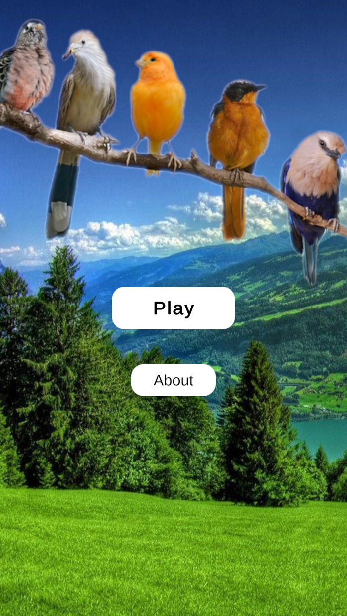 Birds Quiz and Learn