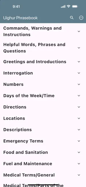 Uighur Phrasebook screenshot 1