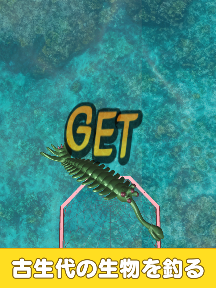 古生代生物あつめ