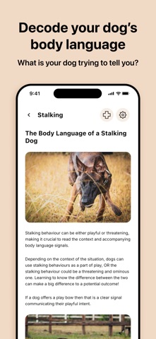 PromisingPups: Dog Training. Screenshot 7 of 9