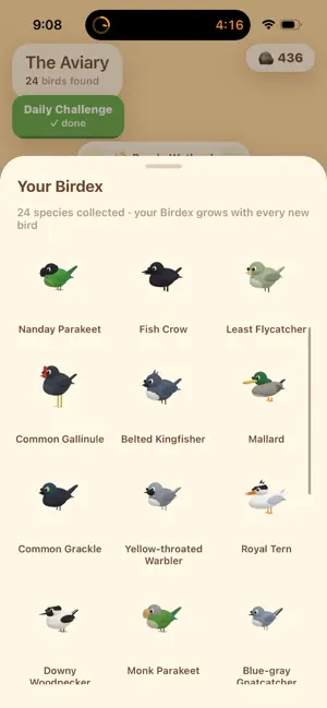 My Aviary Forest screenshot 4