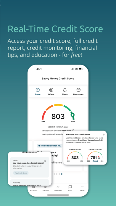 Skyla Mobile iPhone screenshot 3 - Finance app
