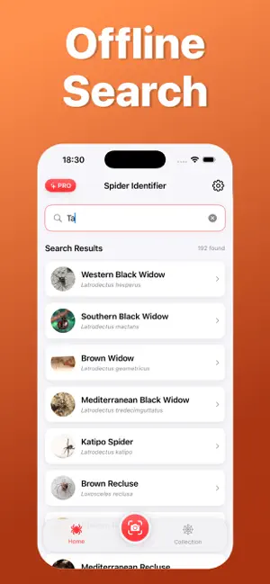 Spider Identifier: Scan AI screenshot 4