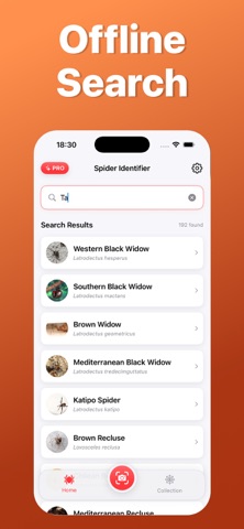 Spider Identifier: Scan AI Screenshot 4 of 5
