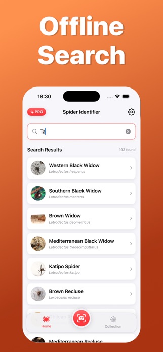 Spider Identifier: Scan AI Screenshot 4 of 5