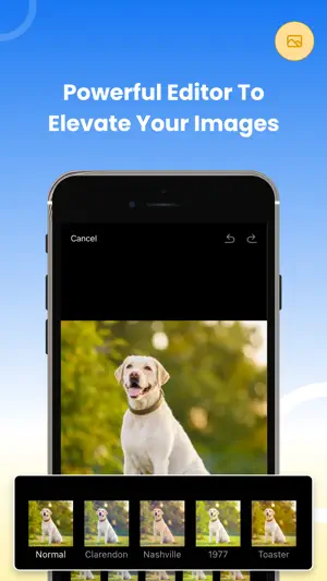 Gallery: Photo Vault & Cleaner screenshot 3