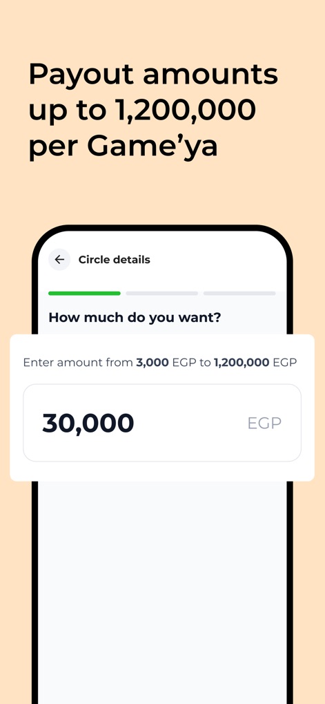Money Fellows: Online Circles - The app demonstrates its capacity for significant payout amounts, allowing users to select their desired sum, exemplified by the 30,000 EGP input field.