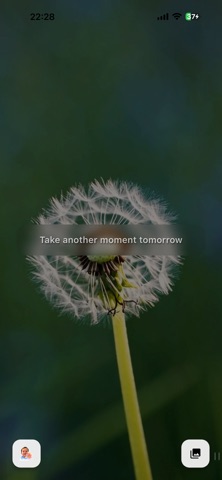 Everyday Dandelion screenshot