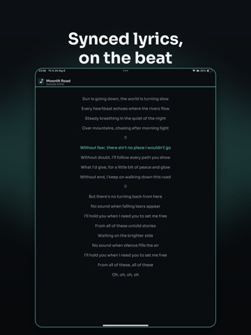 Synq - Hires Offline Music iPad screenshot 2