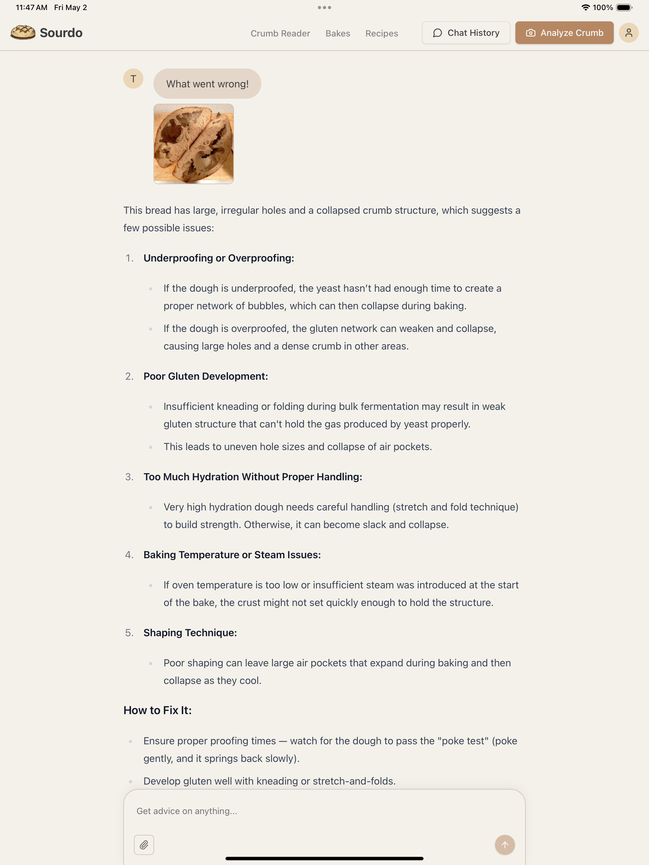 Sourdo - Sourdough Crumb Reads screenshot 9