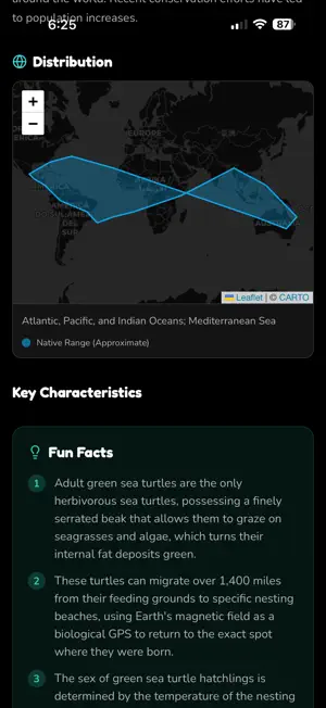 TurtleFluent screenshot 2