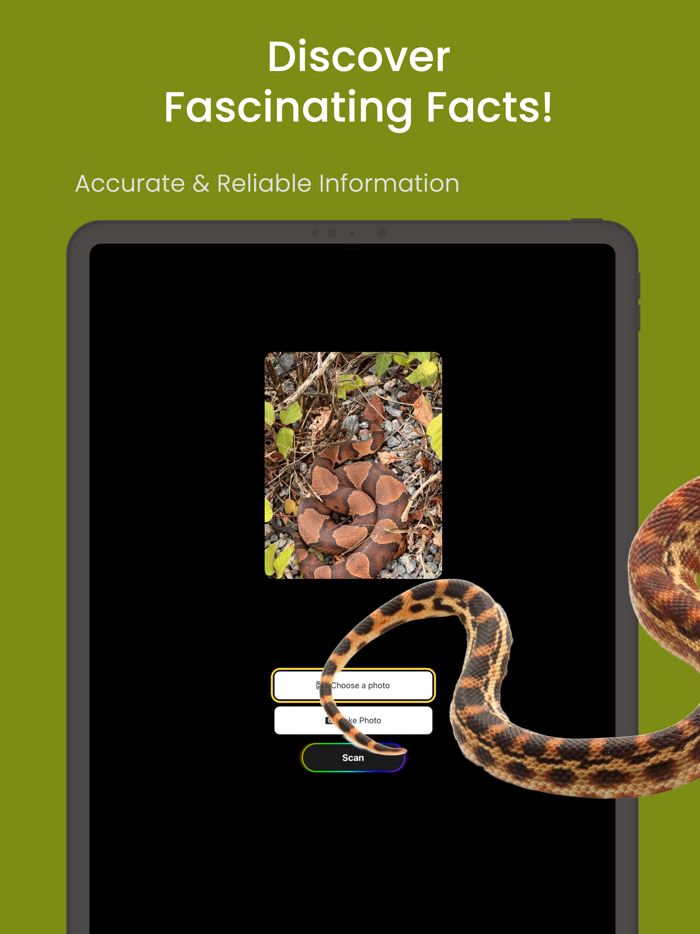 Snake ID - reptile identifier