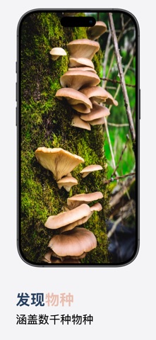 蘑菇识别 - AI智能识菇助手 screenshot