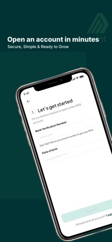 Mint MFB screenshot