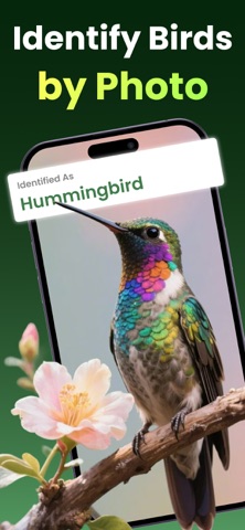 Bird Identifier - Bird Sounds Screenshot 1 of 6