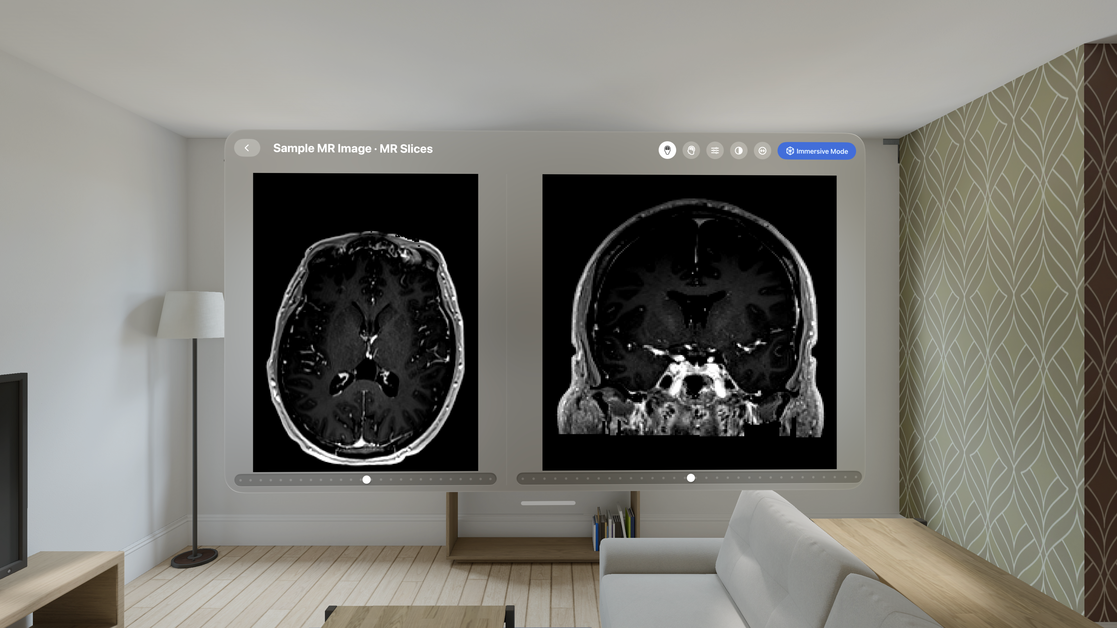 VoxelVision - AR DICOM Viewer