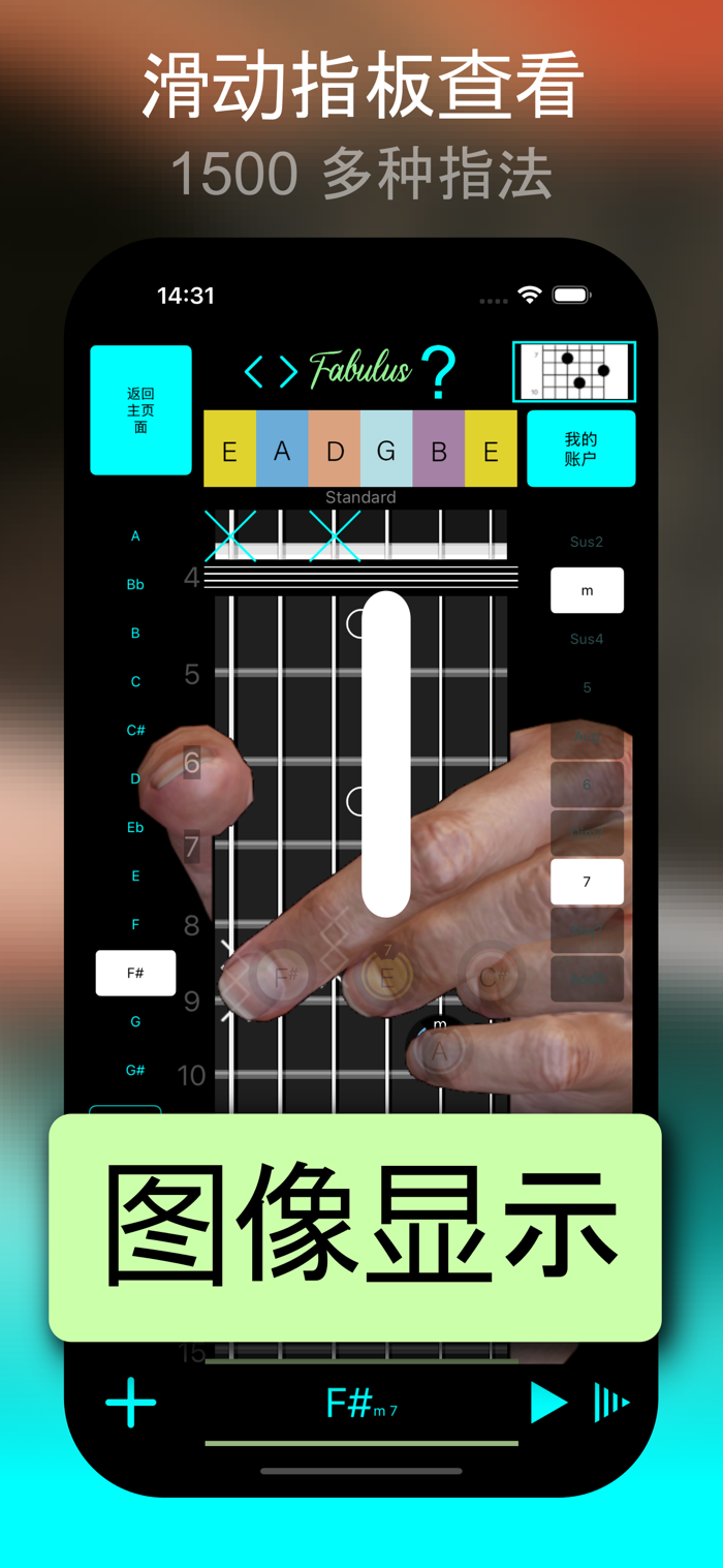 吉他和弦查找与识别：FABULUS