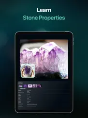 stone identifier - rock finder iPad Captures Décran 4