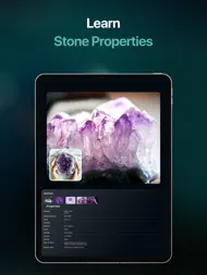 Stone Identifier - Rock Finder ipad bilder 3